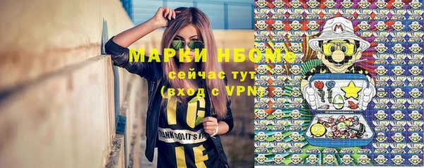 ГАЛЛЮЦИНОГЕННЫЕ ГРИБЫ Аркадак