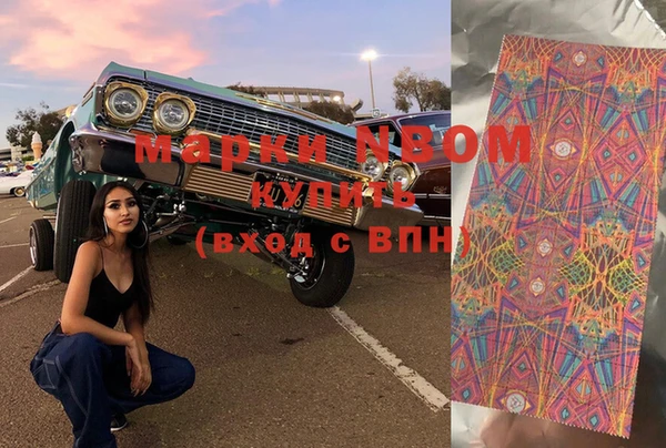 ГАЛЛЮЦИНОГЕННЫЕ ГРИБЫ Аркадак