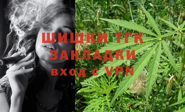 ГАЛЛЮЦИНОГЕННЫЕ ГРИБЫ Аркадак