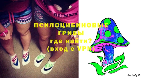 ГАЛЛЮЦИНОГЕННЫЕ ГРИБЫ Аркадак