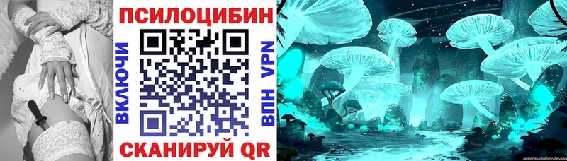 Купить закладки  Красный Кут  Галлюциногенные грибы прущие грибы 