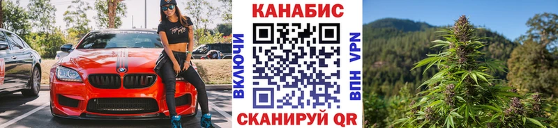Купить закладки  Красный Кут  Бошки Шишки VHQ 